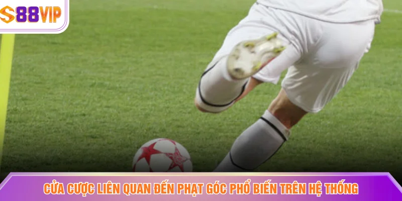 Cửa cược liên quan đến phạt góc phổ biến trên hệ thống