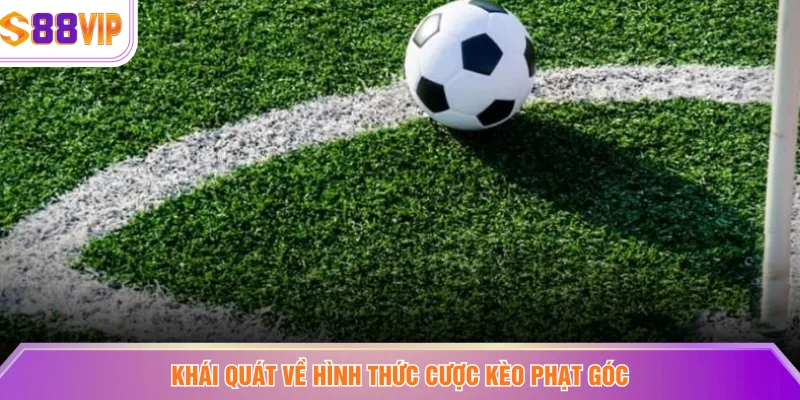 Khái quát về hình thức cược kèo phạt góc